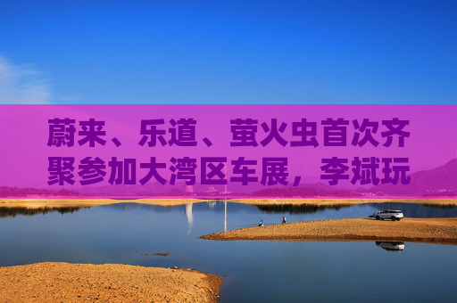 蔚来、乐道、萤火虫首次齐聚参加大湾区车展，李斌玩起谐音梗“为了赢”