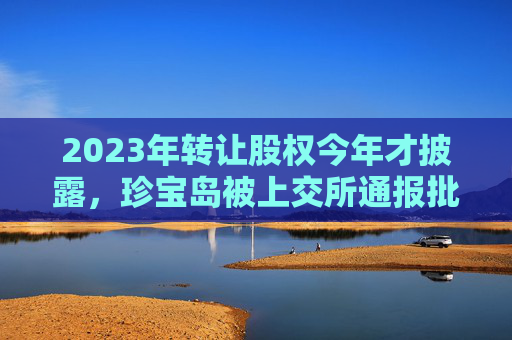 2023年转让股权今年才披露，珍宝岛被上交所通报批评  公司刚称“对信披违规责任人降薪罚款”