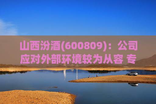 山西汾酒(600809)：公司应对外部环境较为从容 专注于组织、团队、信息化等自身能力提升  第1张