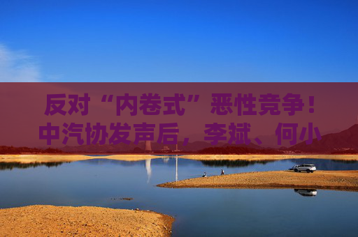 反对“内卷式”恶性竞争！中汽协发声后，李斌、何小鹏、閤先庆等车企大佬集体表态“价格战”