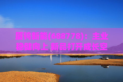 厦钨新能(688778)：主业稳健向上 新品打开成长空间