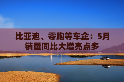 比亚迪、零跑等车企：5月销量同比大增亮点多