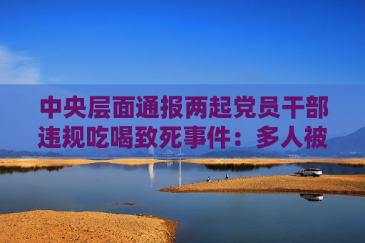 中央层面通报两起党员干部违规吃喝致死事件：多人被处理处分