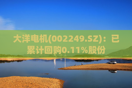 大洋电机(002249.SZ)：已累计回购0.11%股份