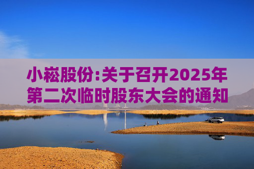 小崧股份:关于召开2025年第二次临时股东大会的通知