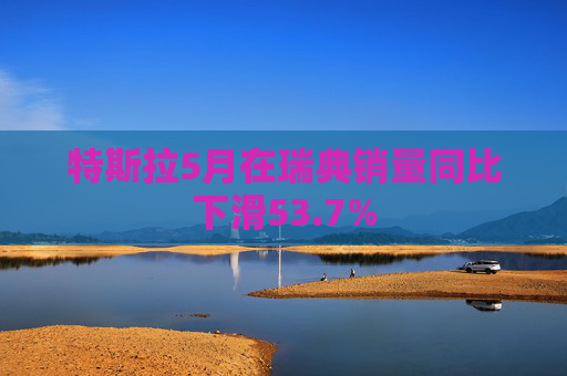 特斯拉5月在瑞典销量同比下滑53.7%  第1张