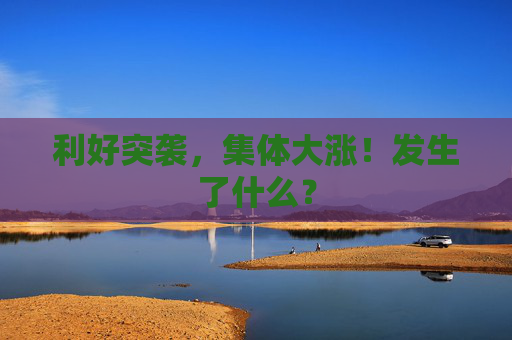 利好突袭，集体大涨！发生了什么？  第1张