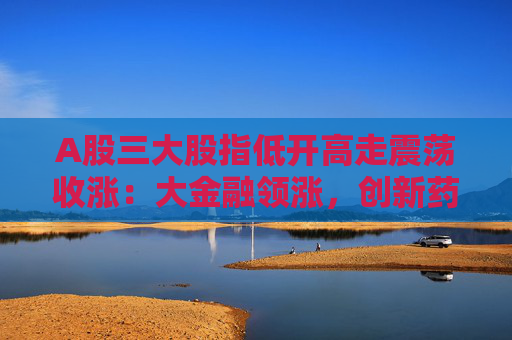 A股三大股指低开高走震荡收涨：大金融领涨，创新药概念股表现活跃