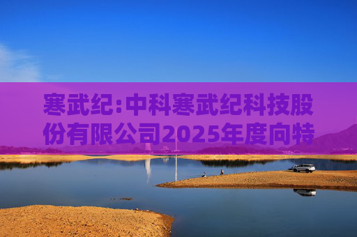 寒武纪:中科寒武纪科技股份有限公司2025年度向特定对象发行A股股票募集说明书（申报稿）