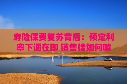 寿险保费复苏背后：预定利率下调在即 销售端如何啃下分红险“硬骨头”