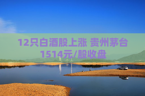12只白酒股上涨 贵州茅台1514元/股收盘