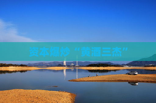 资本爆炒“黄酒三杰”