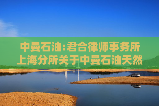 中曼石油:君合律师事务所上海分所关于中曼石油天然气集团股份有限公司2024年年度股东大会的法律意见书