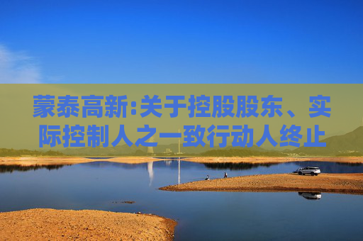 蒙泰高新:关于控股股东、实际控制人之一致行动人终止协议转让部分公司股份的公告