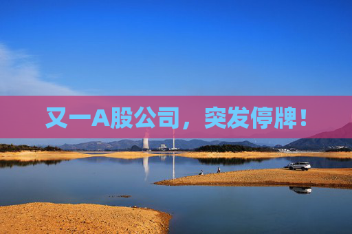 又一A股公司，突发停牌！  第1张