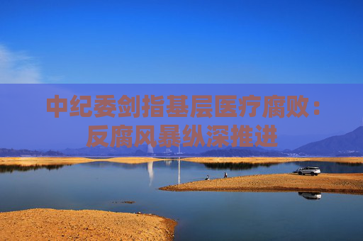中纪委剑指基层医疗腐败：反腐风暴纵深推进