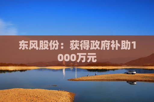 东风股份：获得政府补助1000万元