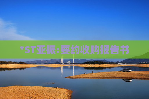 *ST亚振:要约收购报告书
