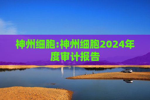神州细胞:神州细胞2024年度审计报告
