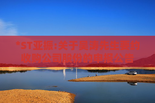 *ST亚振:关于吴涛先生要约收购公司股份的申报公告