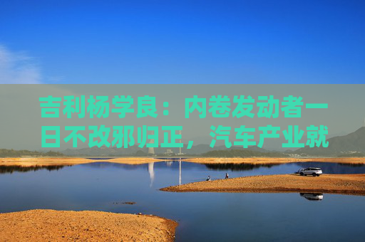 吉利杨学良：内卷发动者一日不改邪归正，汽车产业就不可能由大变强
