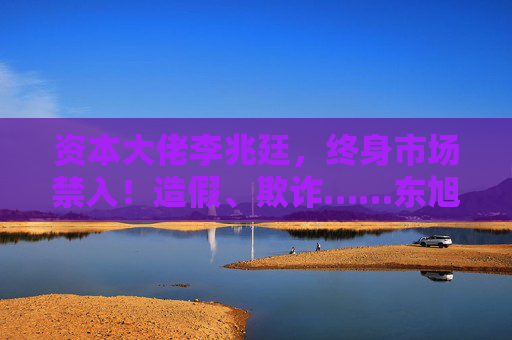 资本大佬李兆廷，终身市场禁入！造假、欺诈……东旭系相关主体合计被罚17亿元