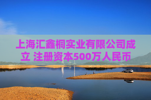 上海汇鑫桐实业有限公司成立 注册资本500万人民币