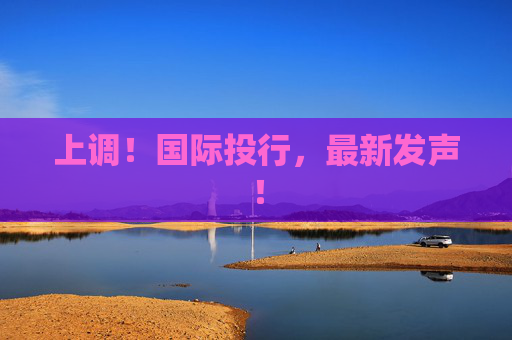 上调！国际投行，最新发声！