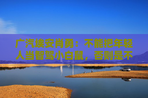 广汽埃安肖勇：不能把年轻人当智驾小白鼠，否则是不讲良心