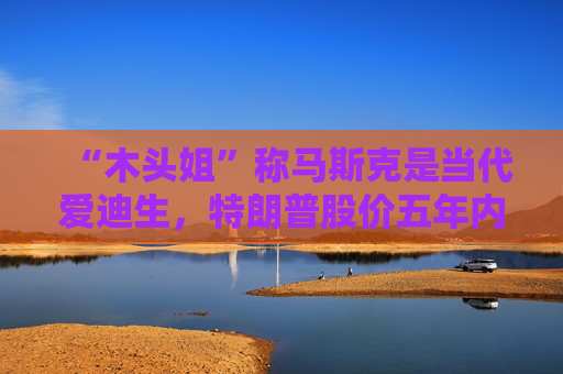 “木头姐”称马斯克是当代爱迪生，特朗普股价五年内将达2600美元