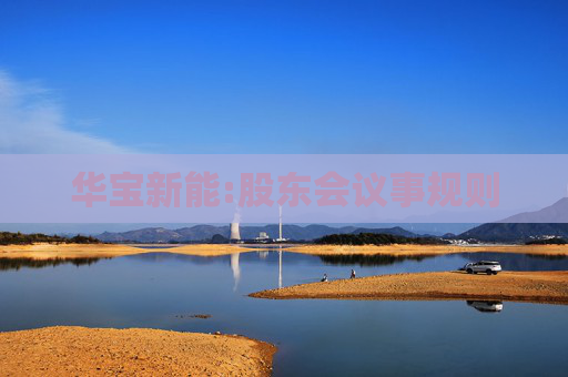 华宝新能:股东会议事规则  第1张