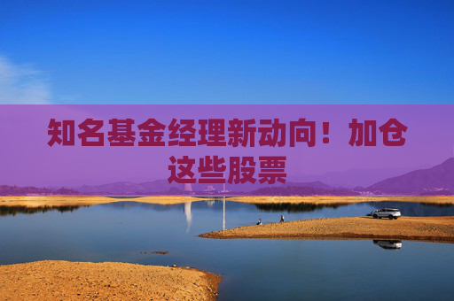 知名基金经理新动向！加仓这些股票