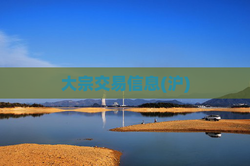 大宗交易信息(沪)