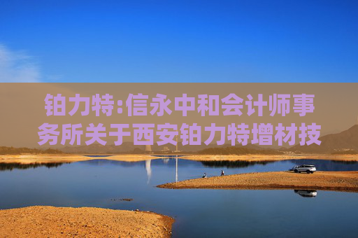 铂力特:信永中和会计师事务所关于西安铂力特增材技术股份有限公司2024年年度报告的信息披露监管问询函的回复