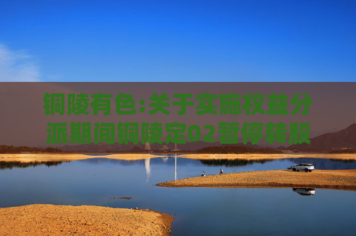 铜陵有色:关于实施权益分派期间铜陵定02暂停转股的公告