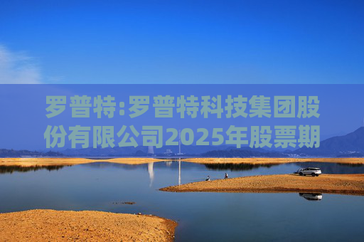 罗普特:罗普特科技集团股份有限公司2025年股票期权激励计划实施考核管理办法
