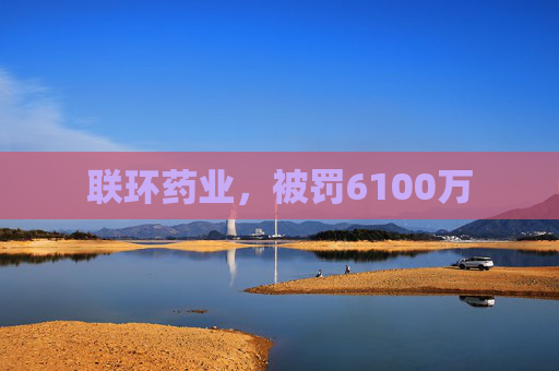 联环药业，被罚6100万