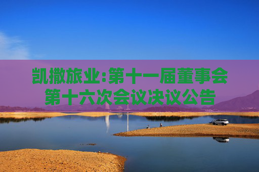 凯撒旅业:第十一届董事会第十六次会议决议公告  第1张