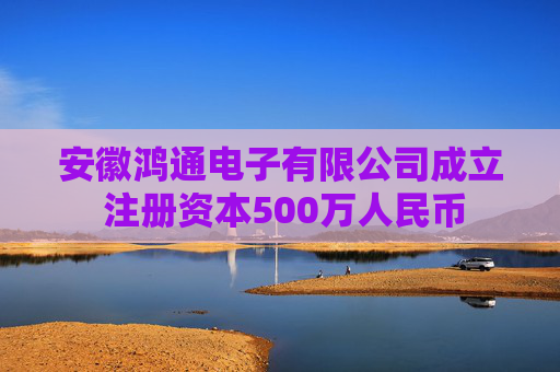 安徽鸿通电子有限公司成立 注册资本500万人民币  第1张