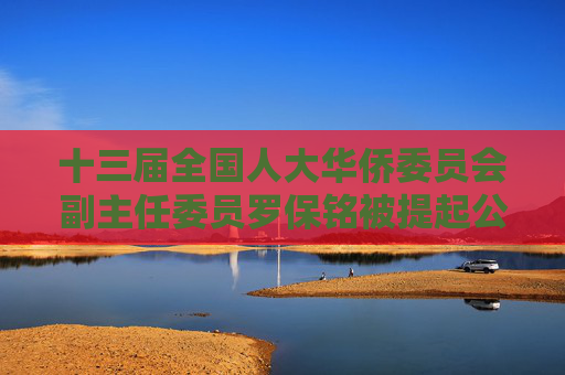 十三届全国人大华侨委员会副主任委员罗保铭被提起公诉