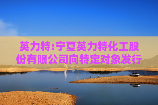 英力特:宁夏英力特化工股份有限公司向特定对象发行股票募集说明书（更新稿）