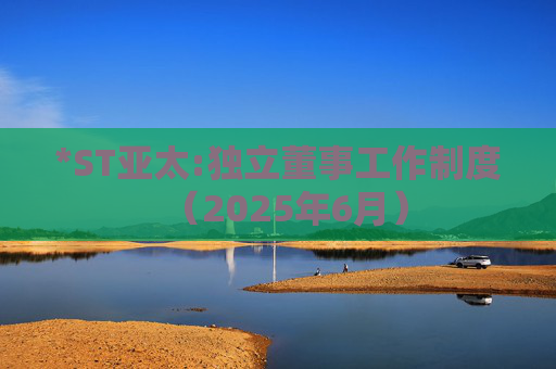 *ST亚太:独立董事工作制度（2025年6月）
