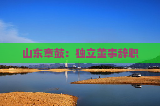 山东章鼓：独立董事辞职
