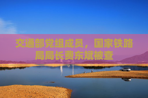 交通部党组成员，国家铁路局局长费东斌被查