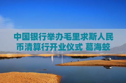 中国银行举办毛里求斯人民币清算行开业仪式 葛海蛟出席活动并致辞