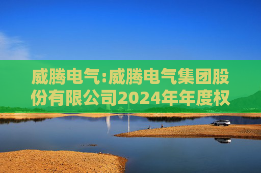 威腾电气:威腾电气集团股份有限公司2024年年度权益分派实施公告