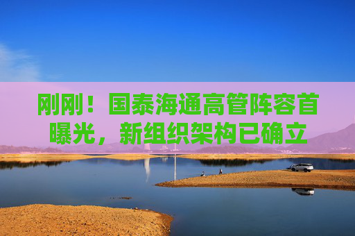 刚刚！国泰海通高管阵容首曝光，新组织架构已确立