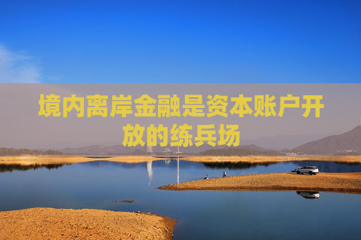 境内离岸金融是资本账户开放的练兵场