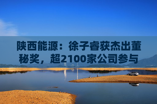 陕西能源：徐子睿获杰出董秘奖，超2100家公司参与评选