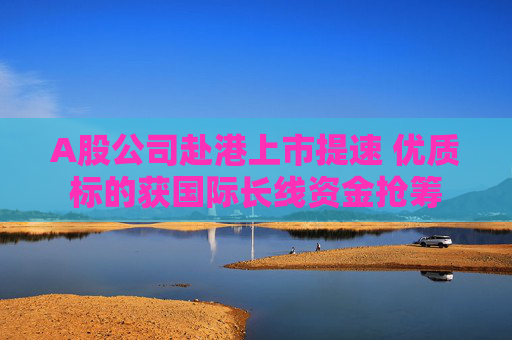 A股公司赴港上市提速 优质标的获国际长线资金抢筹